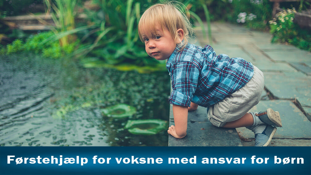 voksne med ansvar for børn børn