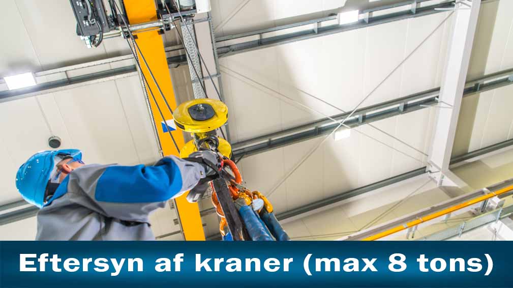 eftersyn af kraner max 8 tons